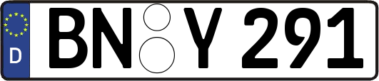 BN-Y291