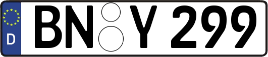 BN-Y299