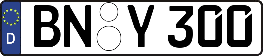 BN-Y300