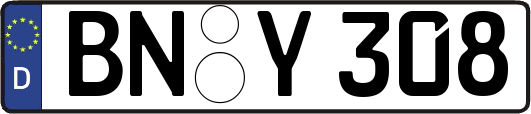 BN-Y308