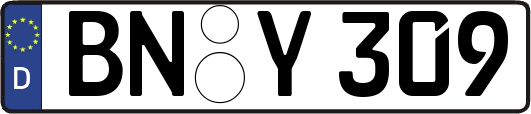 BN-Y309