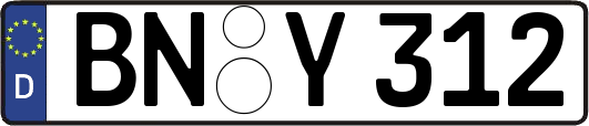 BN-Y312