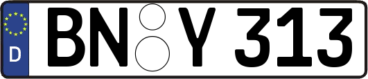 BN-Y313