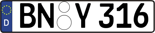 BN-Y316