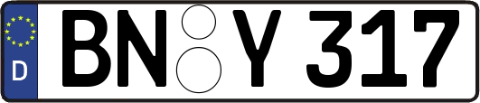 BN-Y317