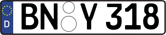 BN-Y318