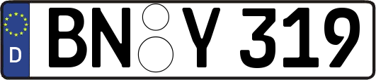 BN-Y319