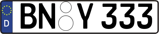 BN-Y333