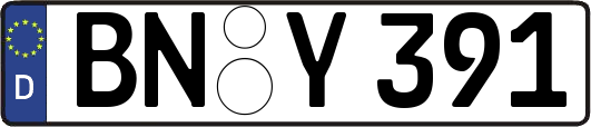 BN-Y391