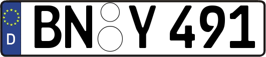 BN-Y491