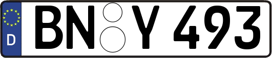 BN-Y493