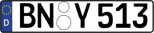 BN-Y513