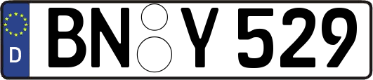 BN-Y529