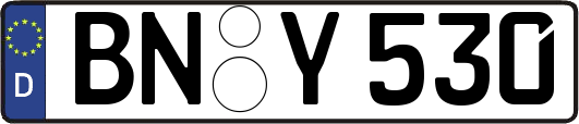 BN-Y530