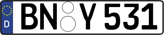 BN-Y531