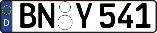 BN-Y541