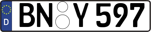 BN-Y597