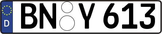 BN-Y613