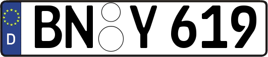 BN-Y619