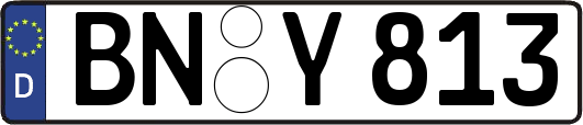 BN-Y813