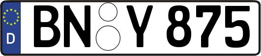 BN-Y875