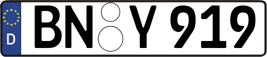 BN-Y919