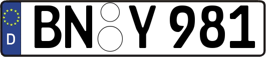 BN-Y981