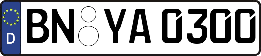 BN-YA0300