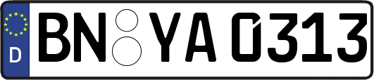 BN-YA0313