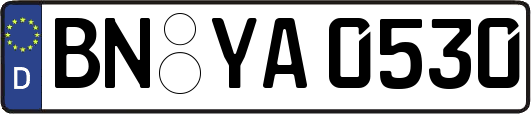 BN-YA0530