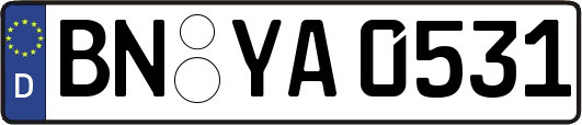 BN-YA0531