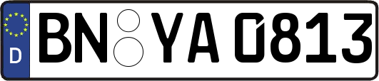 BN-YA0813