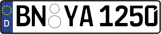 BN-YA1250