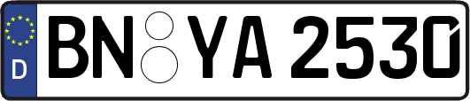 BN-YA2530