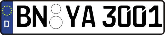 BN-YA3001