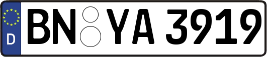 BN-YA3919