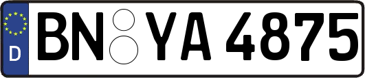 BN-YA4875