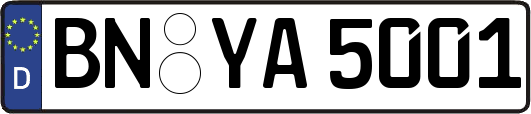 BN-YA5001