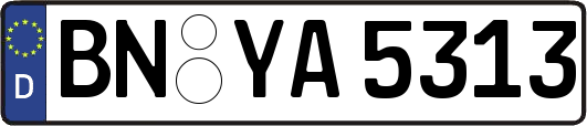 BN-YA5313
