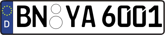 BN-YA6001