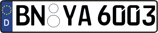 BN-YA6003