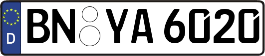 BN-YA6020