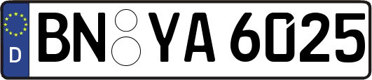 BN-YA6025