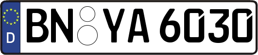 BN-YA6030