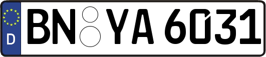 BN-YA6031
