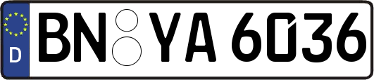 BN-YA6036