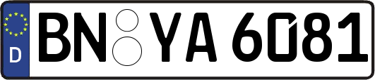 BN-YA6081