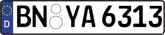 BN-YA6313