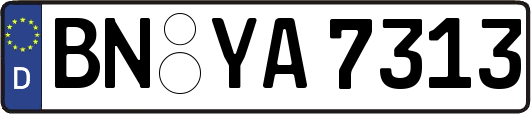 BN-YA7313