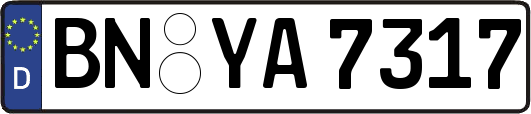 BN-YA7317